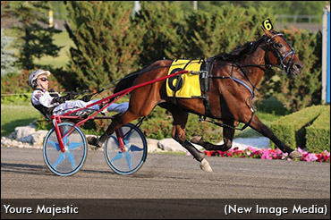 Bellino Fillies Go For Gold