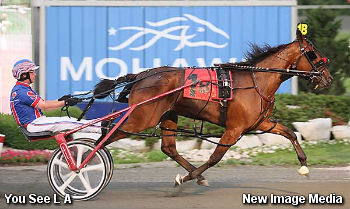 You See L A Wins Whenuwishuponastar