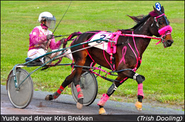 All Women's Card At St. John's