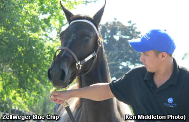 Slight Increase In Morrisville Sale Average 