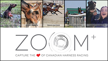 Pick Your Fave 2017 Zoom Photo!