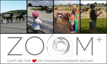 ZOOM Poll Now Open!