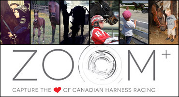 Pick Your Fave ZOOM Winner