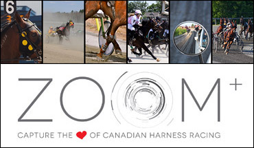 ZOOM Poll Now Open!