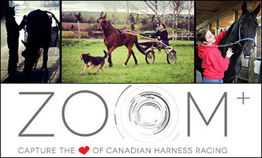 ZOOM Challenge Voting Now Open