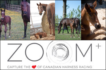 ZOOM Challenge Voting Now Open