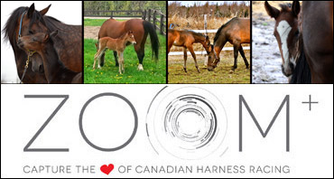 Beriault Is May's Zoom Winner; Next Up, Photobombers!