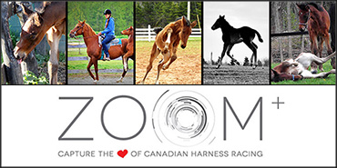 Morrison Wins May Zoom Challenge